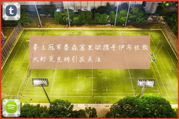 拳击冠军泰森富里欲携手伊布收购大虾莫克姆引发关注