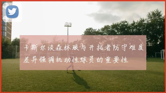 卡斯尔谈森林狼与开拓者防守难度差异强调机动性球员的重要性